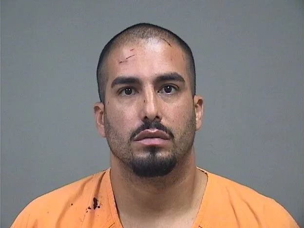 Man arrested on domestic violence charge again